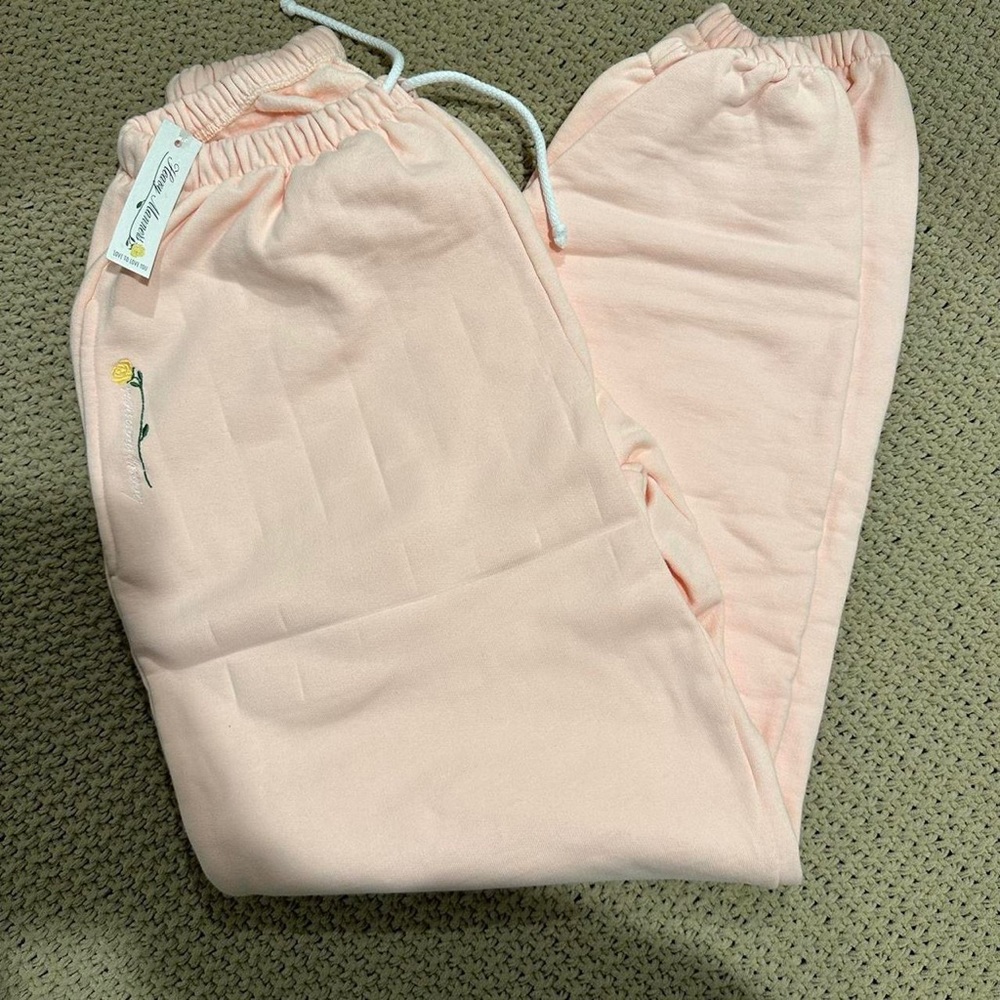 NWT Light Pink Heavy Manners Sweatpants
